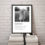 Design ohne Titel (16)