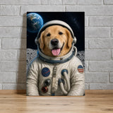 rm405-c01c-mockup